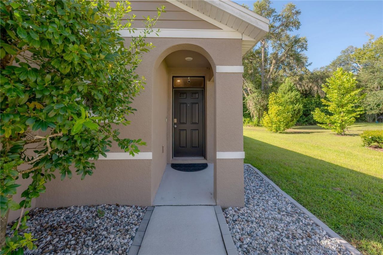 9031 Water Chestnut Drive , Temple Terrace, FL 33637 Photo