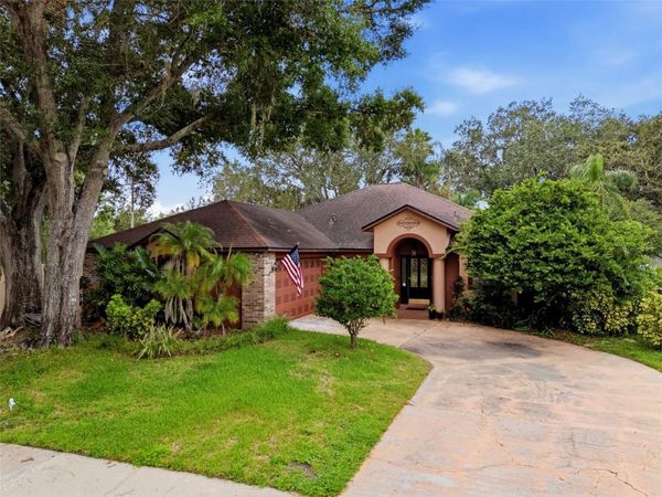 16502 CAYMAN DRIVE , TAMPA, FL 33624