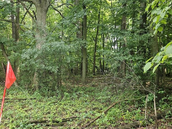 E S 42ND STREET, Greenfield, WI 53221