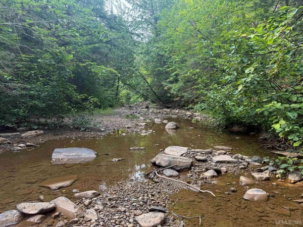 Lot 2 (Middle) M-64 Highway, Carp Lake Twp, MI 49953