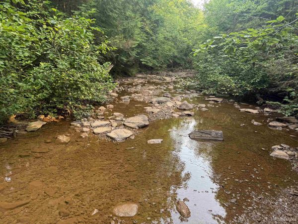 Lot 3 (South) M-64 Highway, Carp Lake Twp, MI 49953