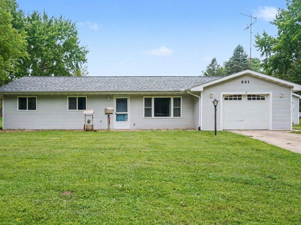 441 Moccasin Street, Buchanan, MI 49107