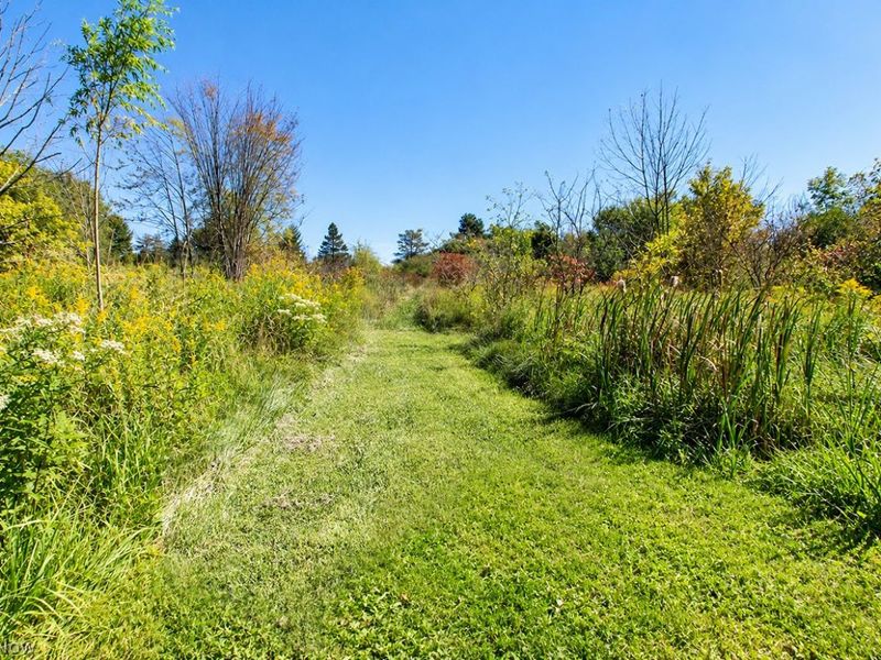 7311 Meadow View Drive, Seville, OH 44273 Photo 39