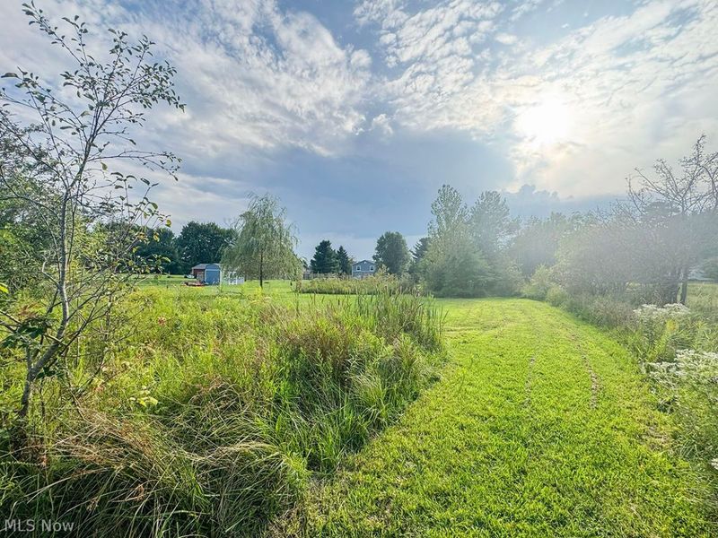 7311 Meadow View Drive, Seville, OH 44273 Photo 43