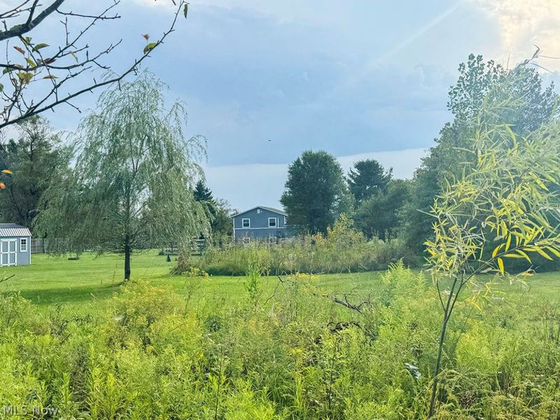 7311 Meadow View Drive, Seville, OH 44273 Photo 44