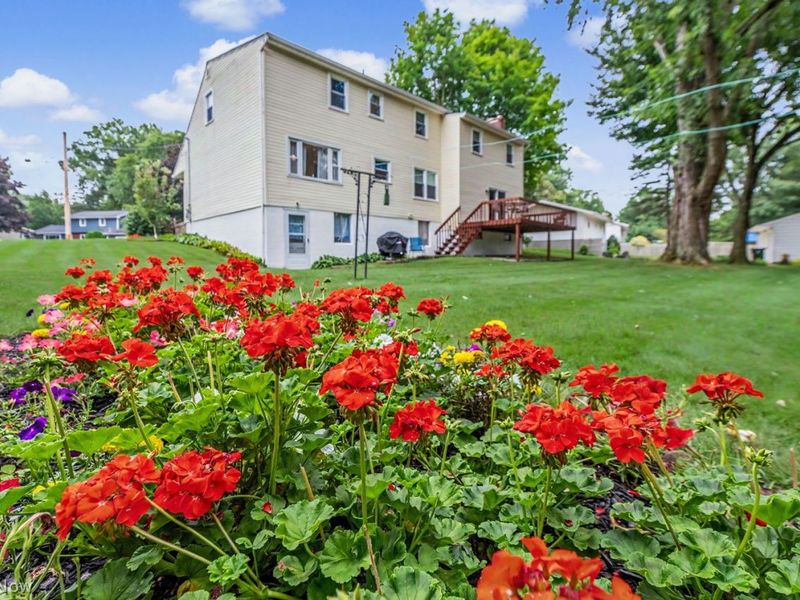 696 West Street, Wadsworth, OH 44281 Photo 4