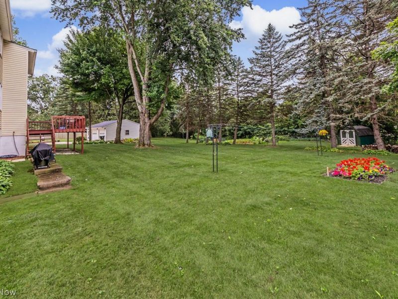 696 West Street, Wadsworth, OH 44281 Photo 5