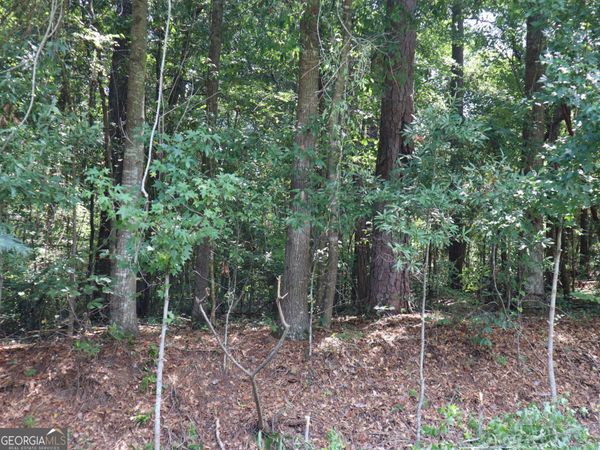 5514 & 5524 Bankston Lake Road, Macon, GA 31216