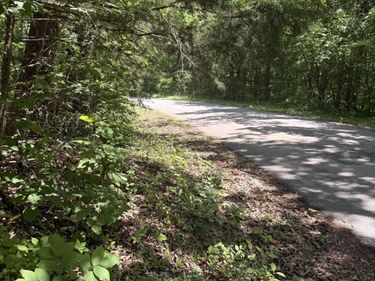 5 Acres Pine Tree Circle, Nancy, KY 42544