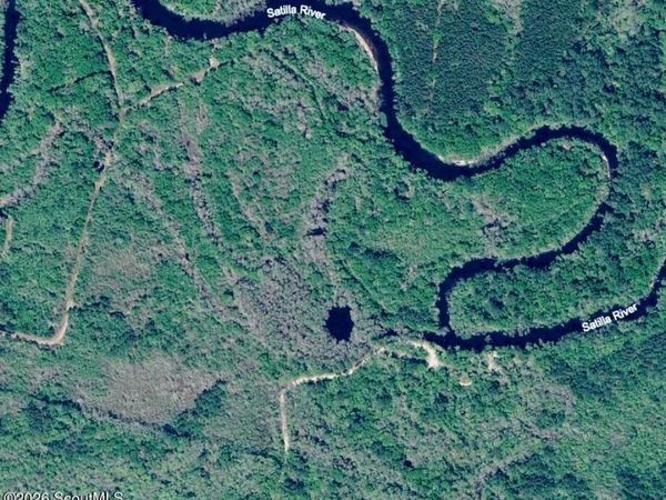 75+/- Acres Lewis Landing , Nahunta, GA 31553