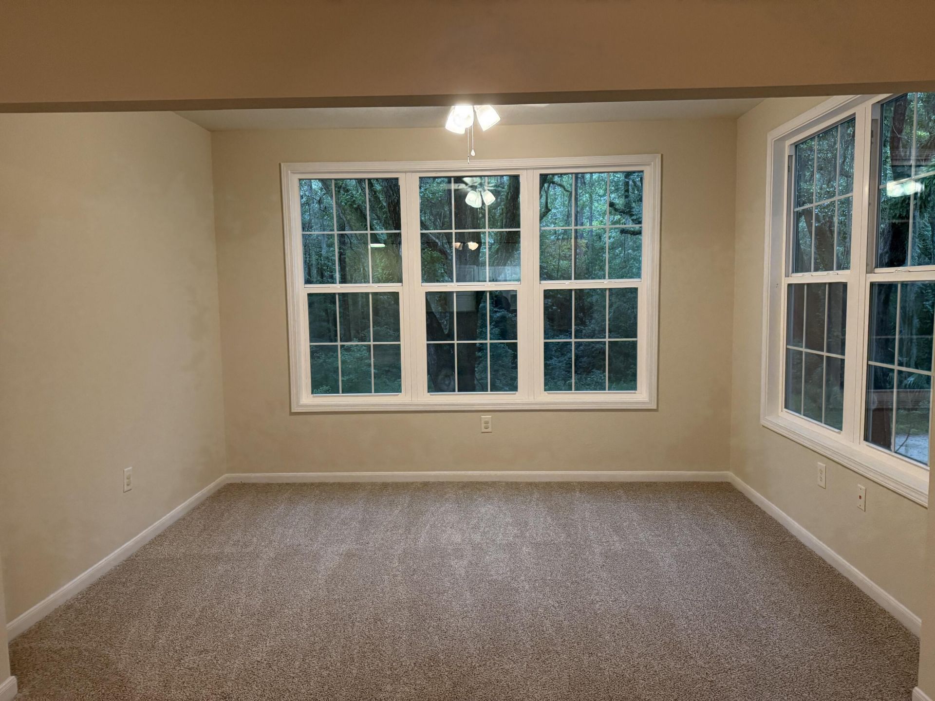 60 Fenwick Hall Alley Photo 12