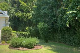 9124 Woodcreek Court photo 4