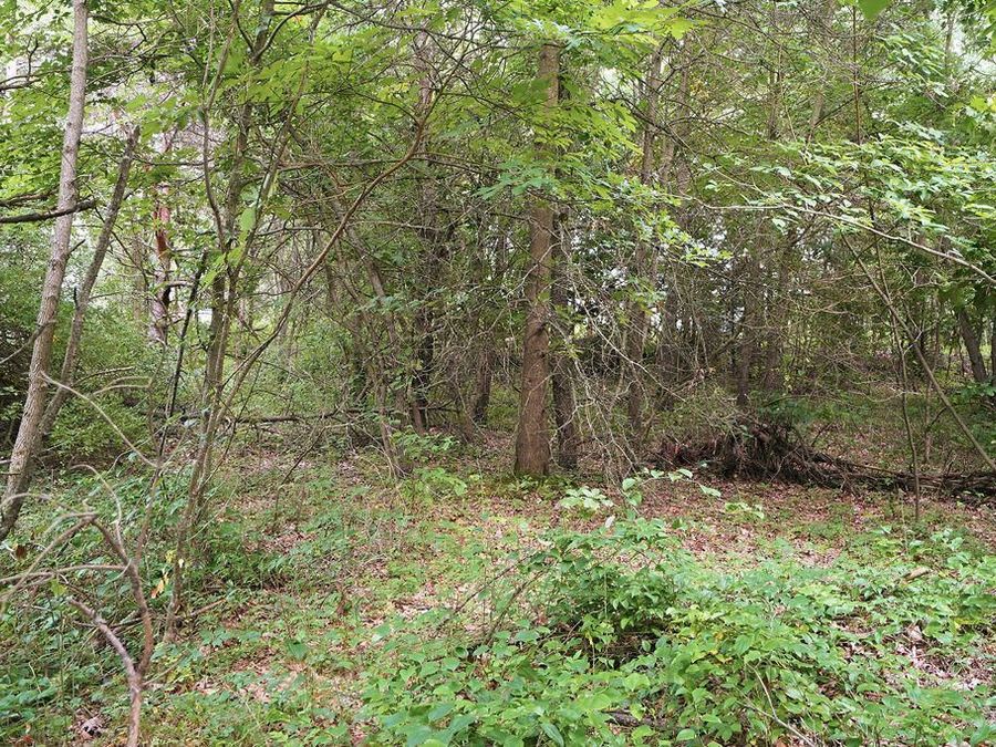 Property Image 48