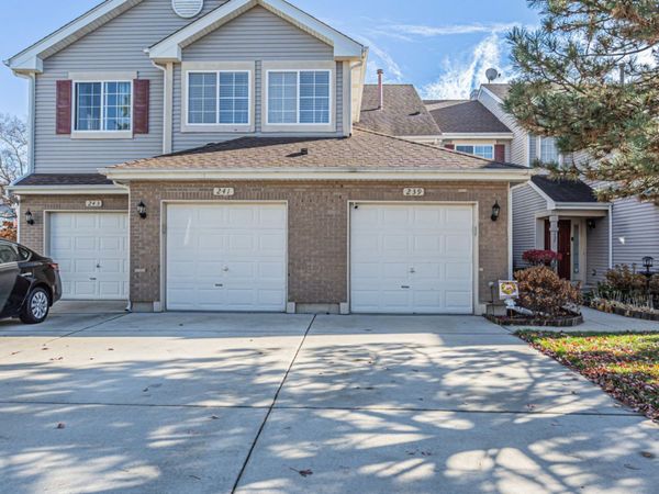 239 Camel Bend Court , Unit 4, Schaumburg, IL 60194