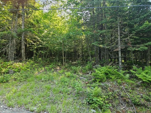 Lot 2-B Rips Road , Brownville, ME 04414