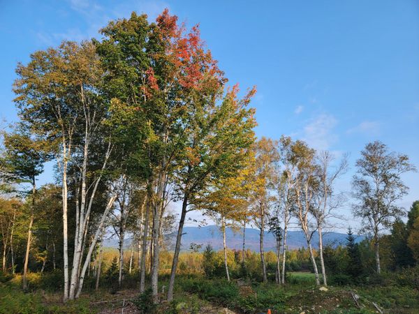 41-109 Big Snow Way , Rangeley, ME 04970