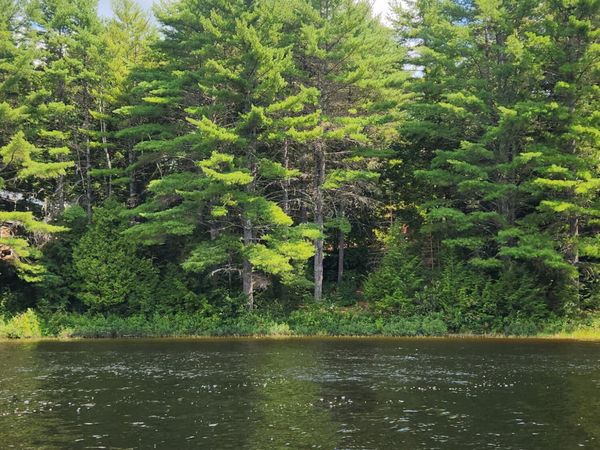 67 E Beddington Lake Road, Beddington, ME 04622