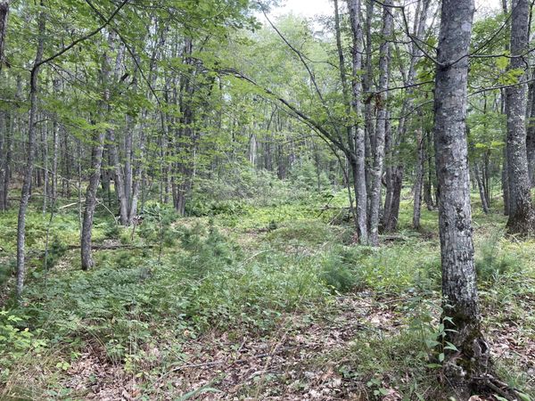 M3 L27-6 Arrowsic Road , Arrowsic, ME 04530