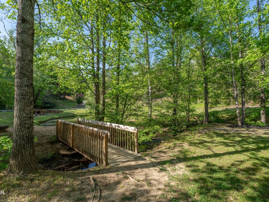 Property Image 58