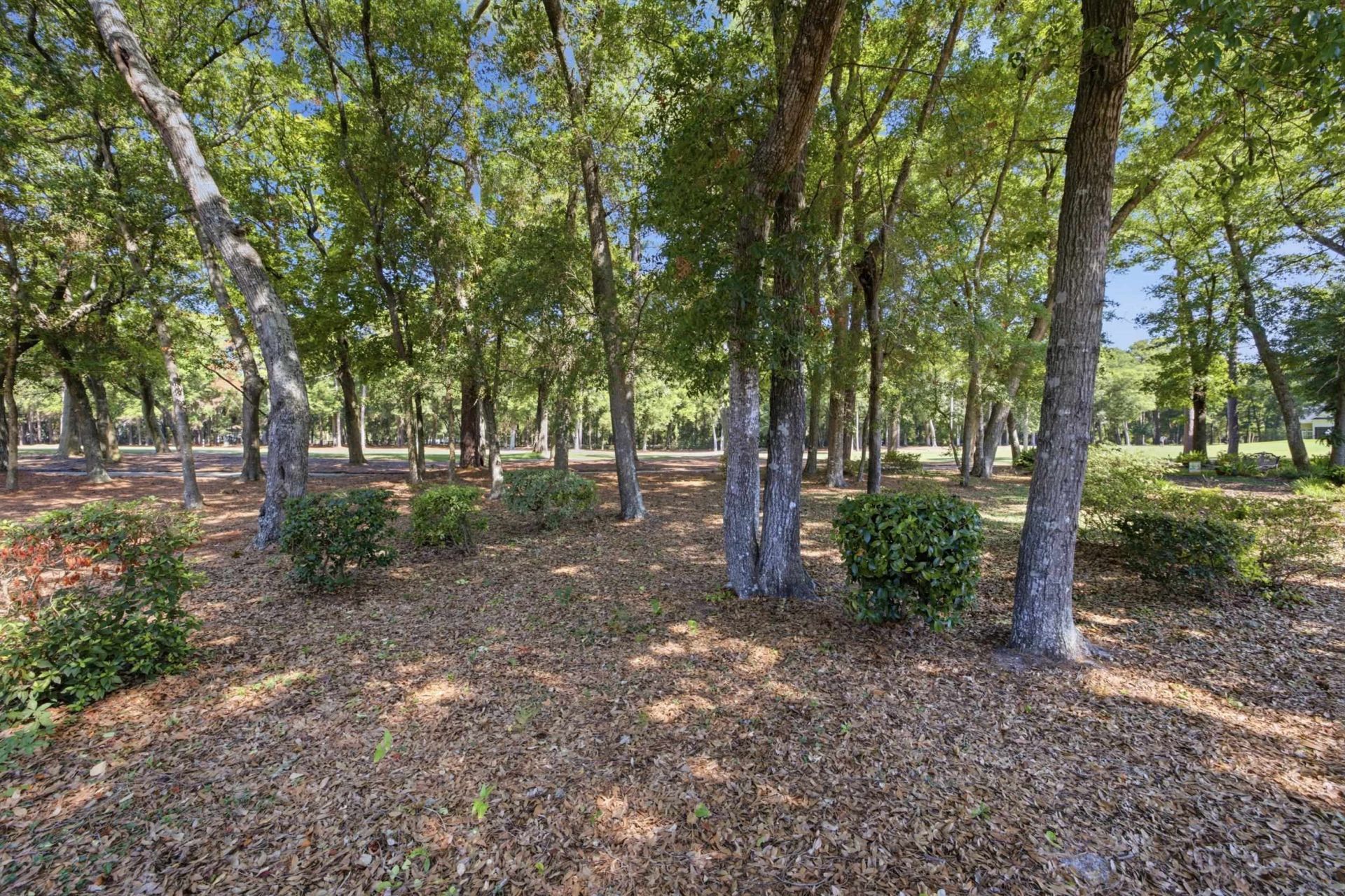 4817 Bucks Bluff Dr. Photo 37