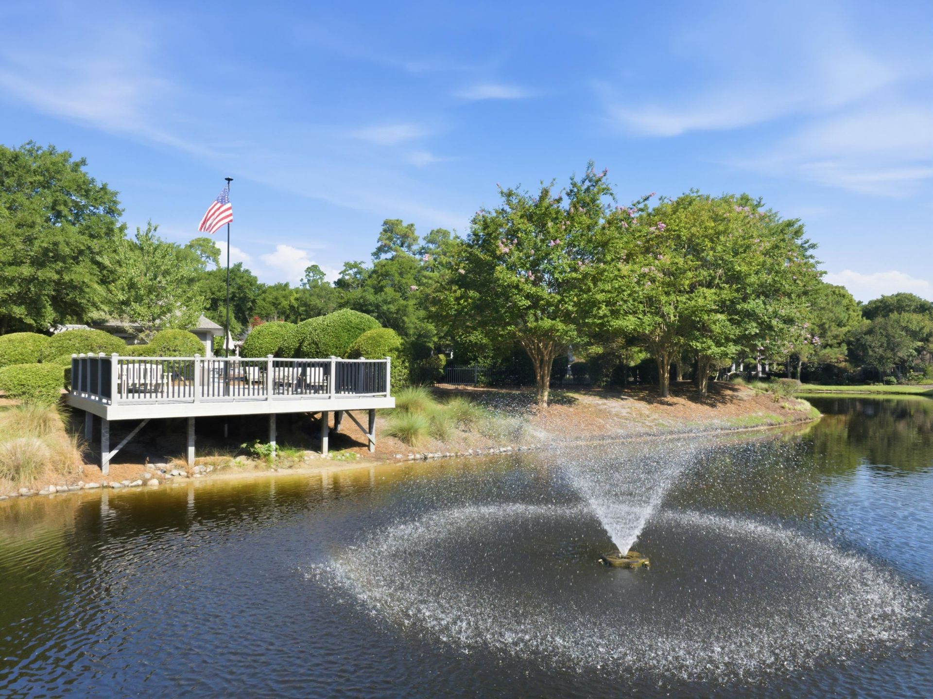 4817 Bucks Bluff Dr. Photo 47