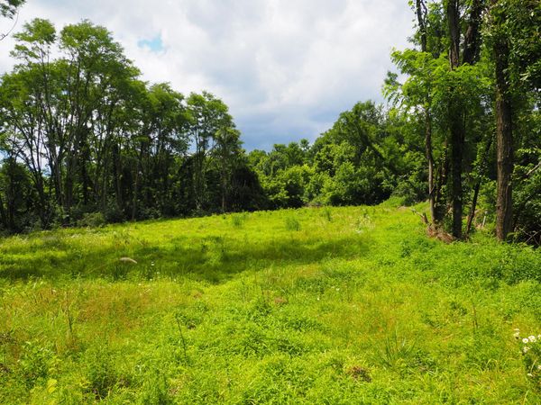 8185 Camp Ernst Road, Burlington, KY 41005