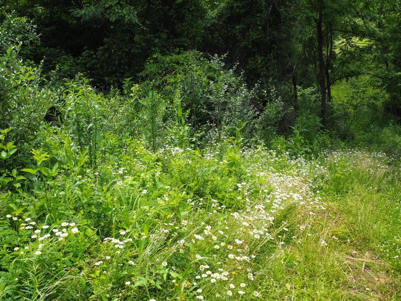 8185 Camp Ernst Road, Burlington, KY 41005 Photo 10