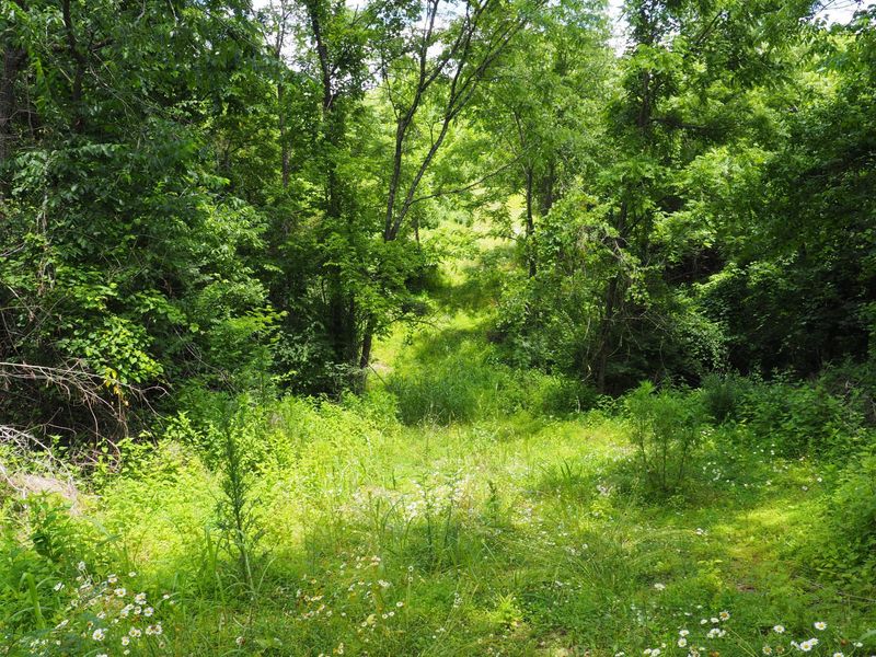 8185 Camp Ernst Road, Burlington, KY 41005 Photo 11