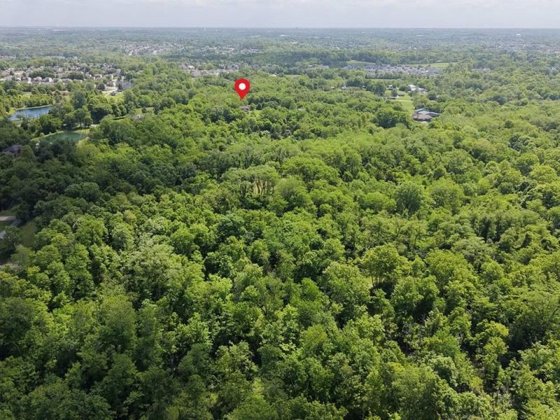 8185 Camp Ernst Road, Burlington, KY 41005 Photo 19