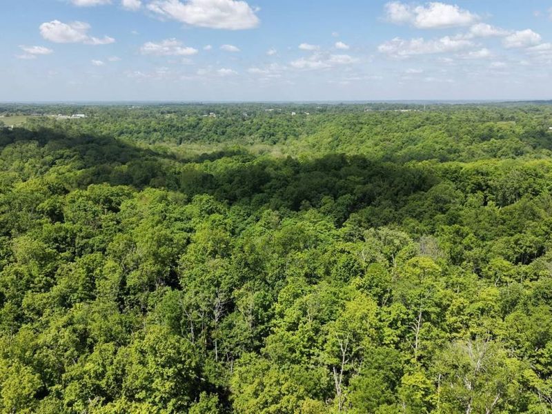 8185 Camp Ernst Road, Burlington, KY 41005 Photo 22