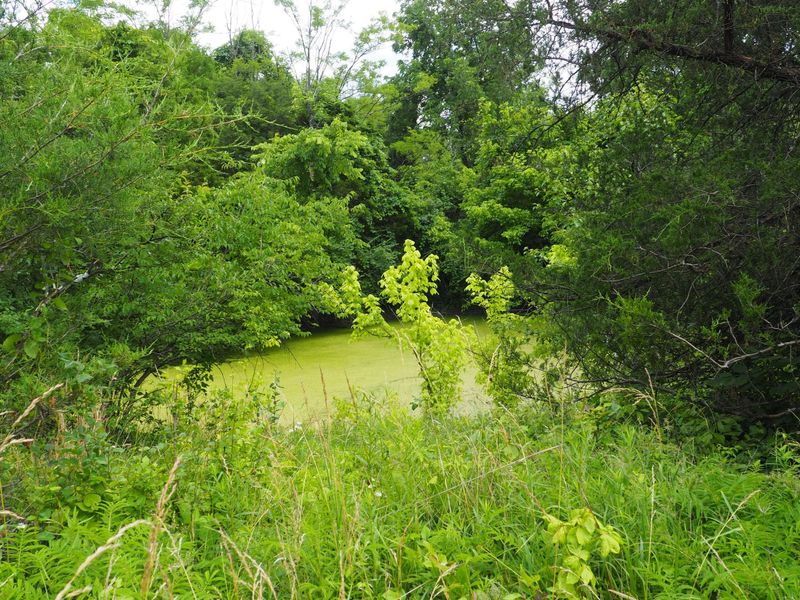 8185 Camp Ernst Road, Burlington, KY 41005 Photo 3