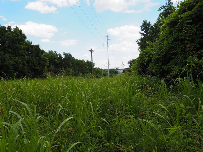 8185 Camp Ernst Road, Burlington, KY 41005 Photo 5