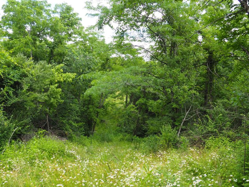 8185 Camp Ernst Road, Burlington, KY 41005 Photo 7