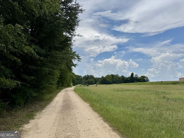 257 W Crusselle Street, Roberta, GA 31078