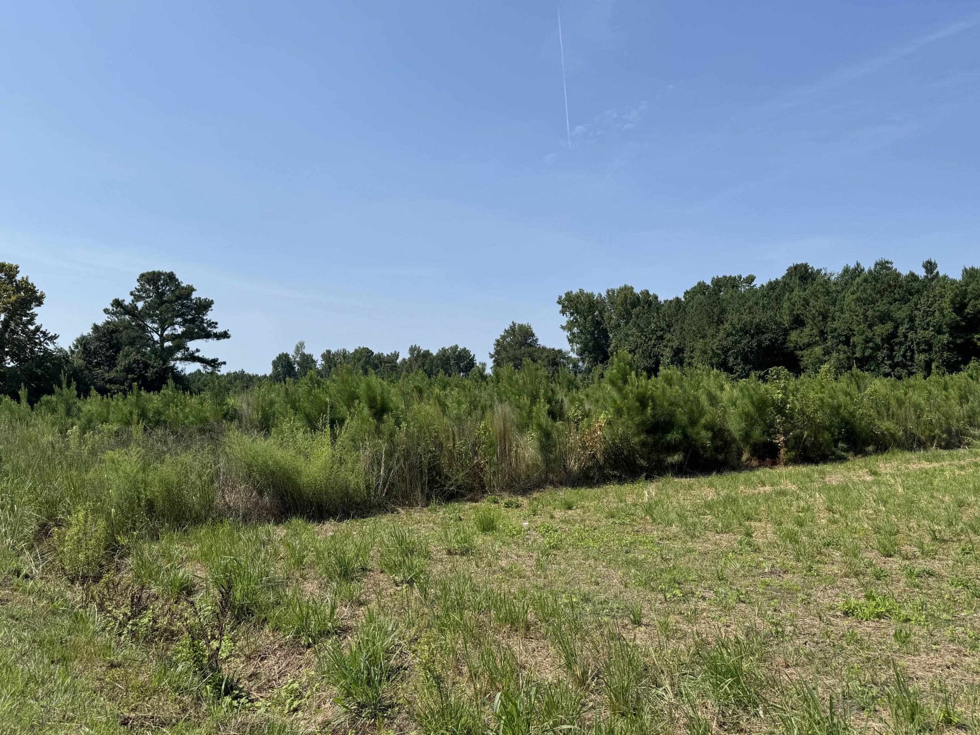 Tbd Spring Branch Rd. Photo 1