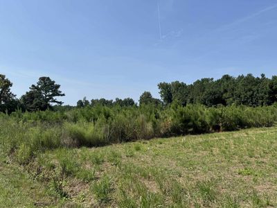 TBD Spring Branch Rd., Nichols, SC 29581