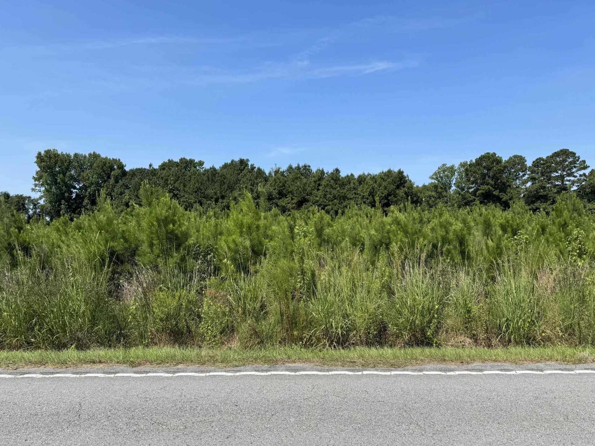Tbd Spring Branch Rd. Photo 2