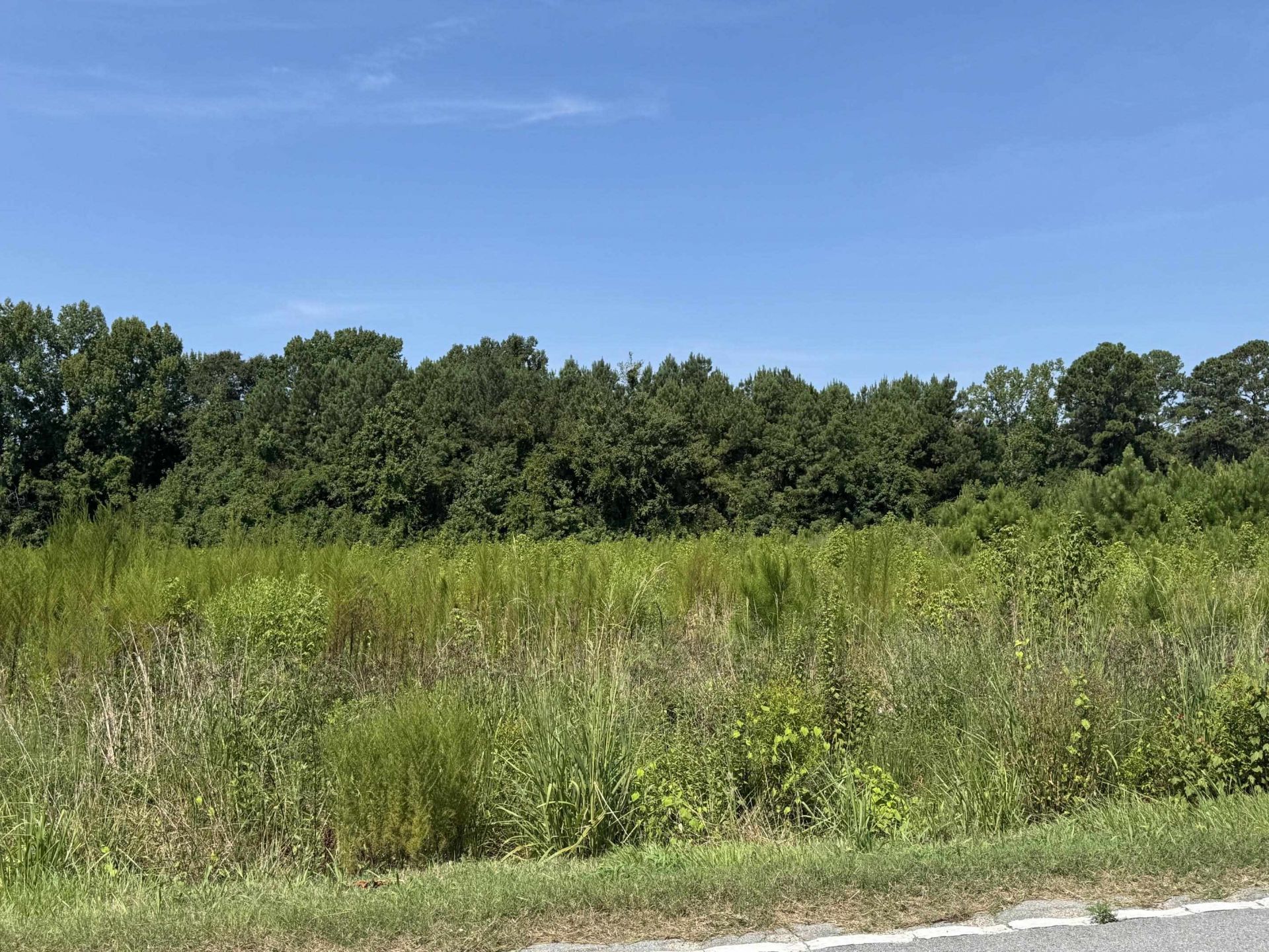 Tbd Spring Branch Rd. Photo 3