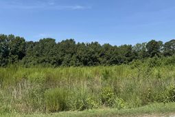 Tbd Spring Branch Rd. photo 4