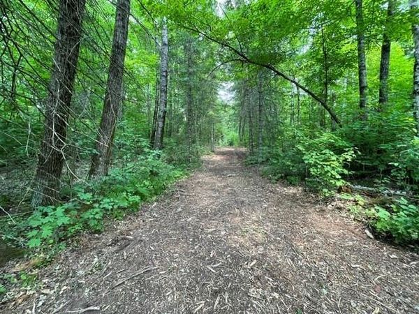 11715N FR 174, Hayward, WI 54843