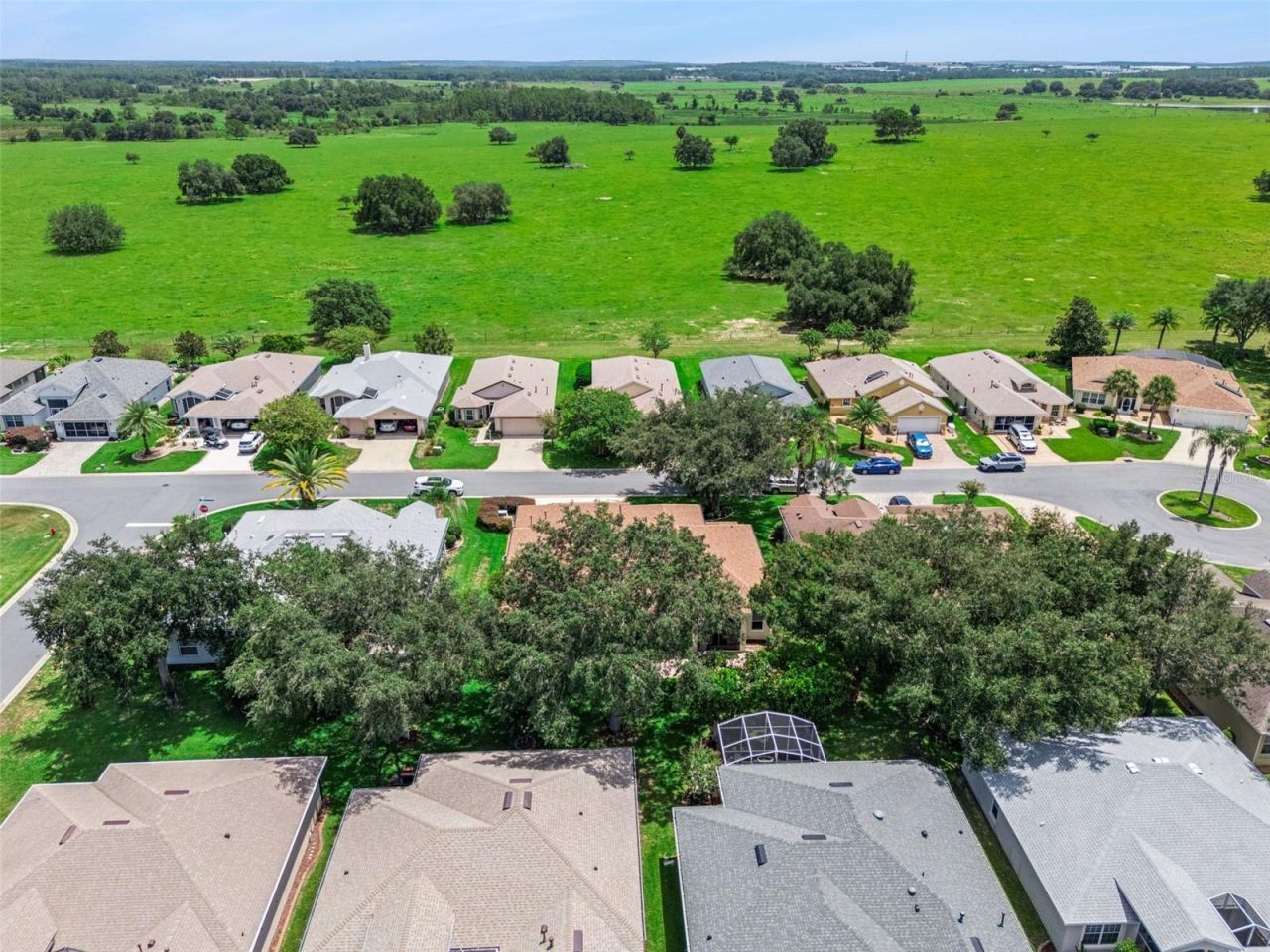 20651 Prince Ranier Place , Leesburg, FL 34748 Photo