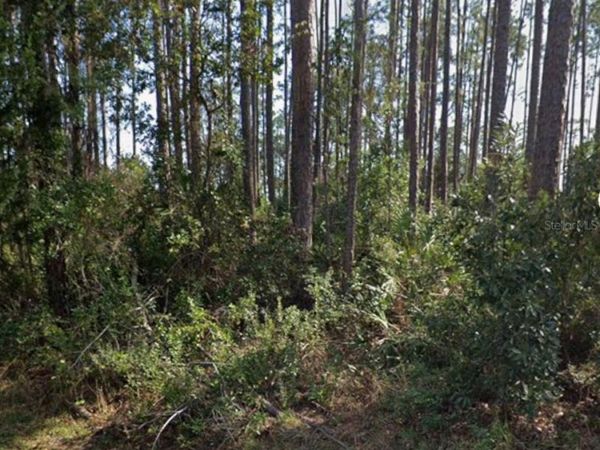21 ERICKSON PLACE , PALM COAST, FL 32164