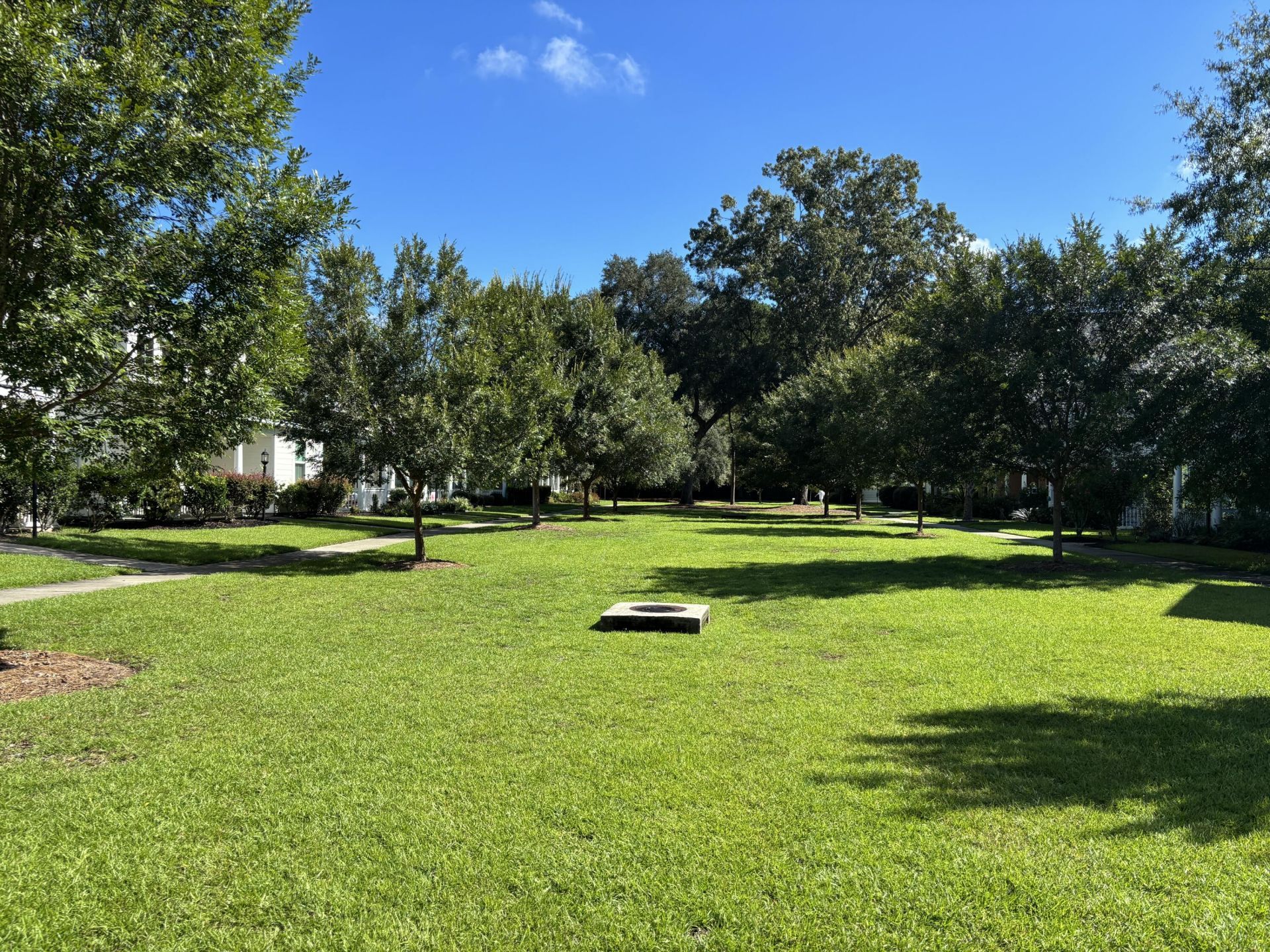 2909 Swamp Sparrow Circle Photo 42