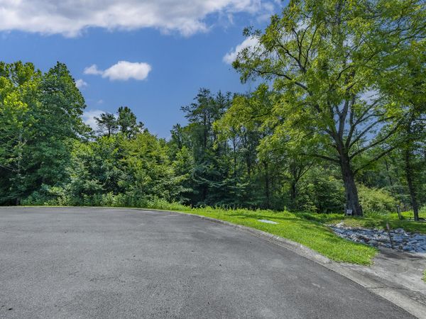 Lot 17 Cove Springs Drive, Dandridge, TN 37725