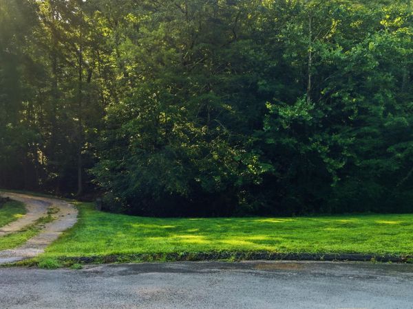 8231 Rolling Stone Lane, Ooltewah, TN 37363