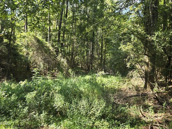 3190 NE Quentin Tower Road, McCall Creek, MS 39647