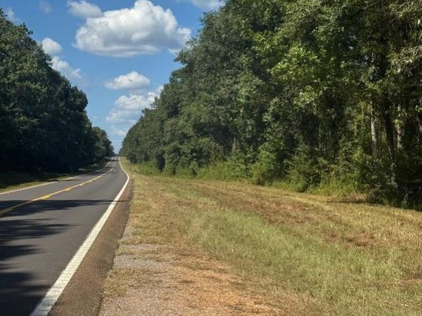 Highway 33 , Roxie, MS 39661