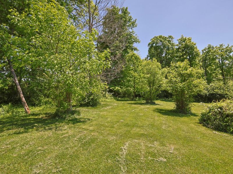9768 Spruce Lane, Union, KY 41091 Photo 43