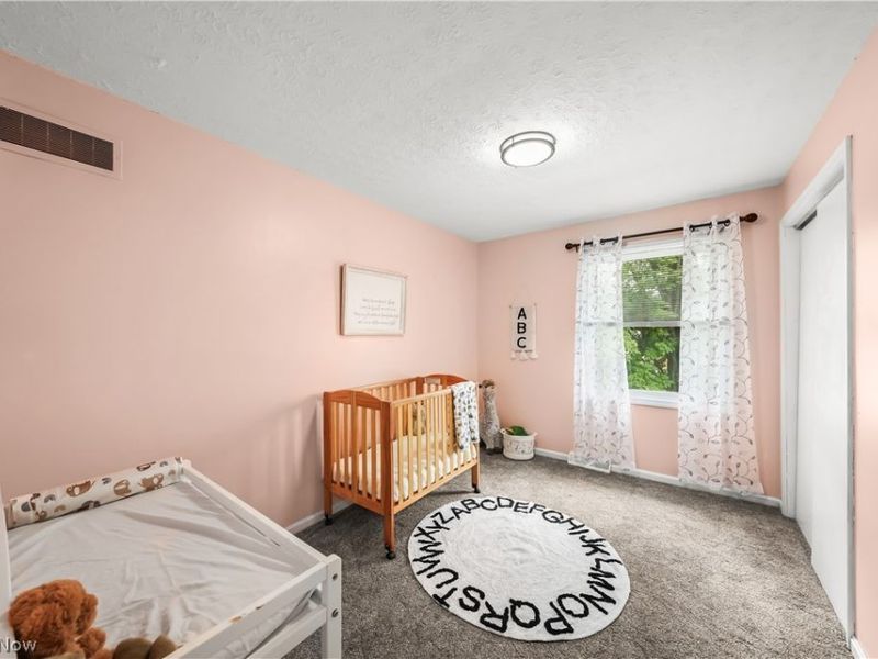 134 Hurd Road, Aurora, OH 44202 Photo 29