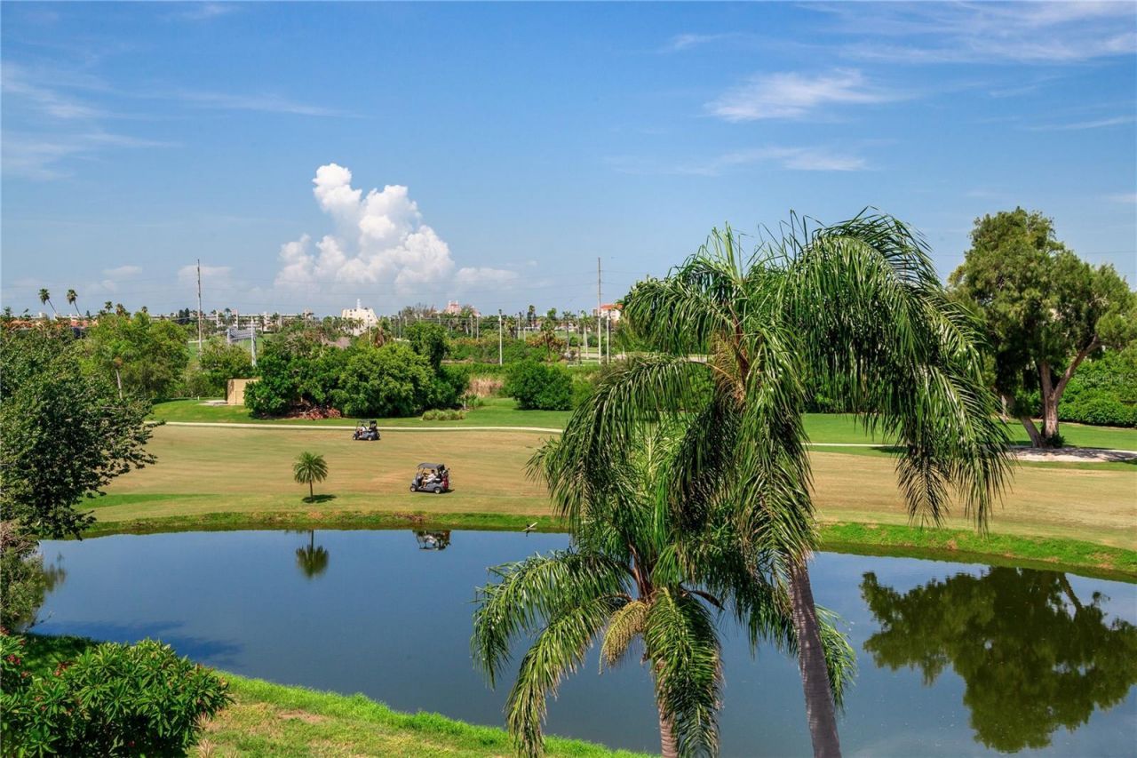 6104 Palma Del Mar Boulevard S, Unit 404, Saint Petersburg, FL 33715 Photo